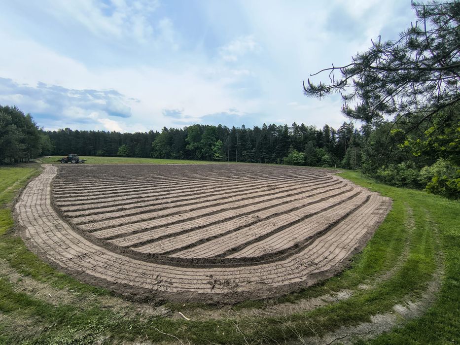 Mulczer powierzchniowy wgłebny frez czyszczenie działek wycinka drzew