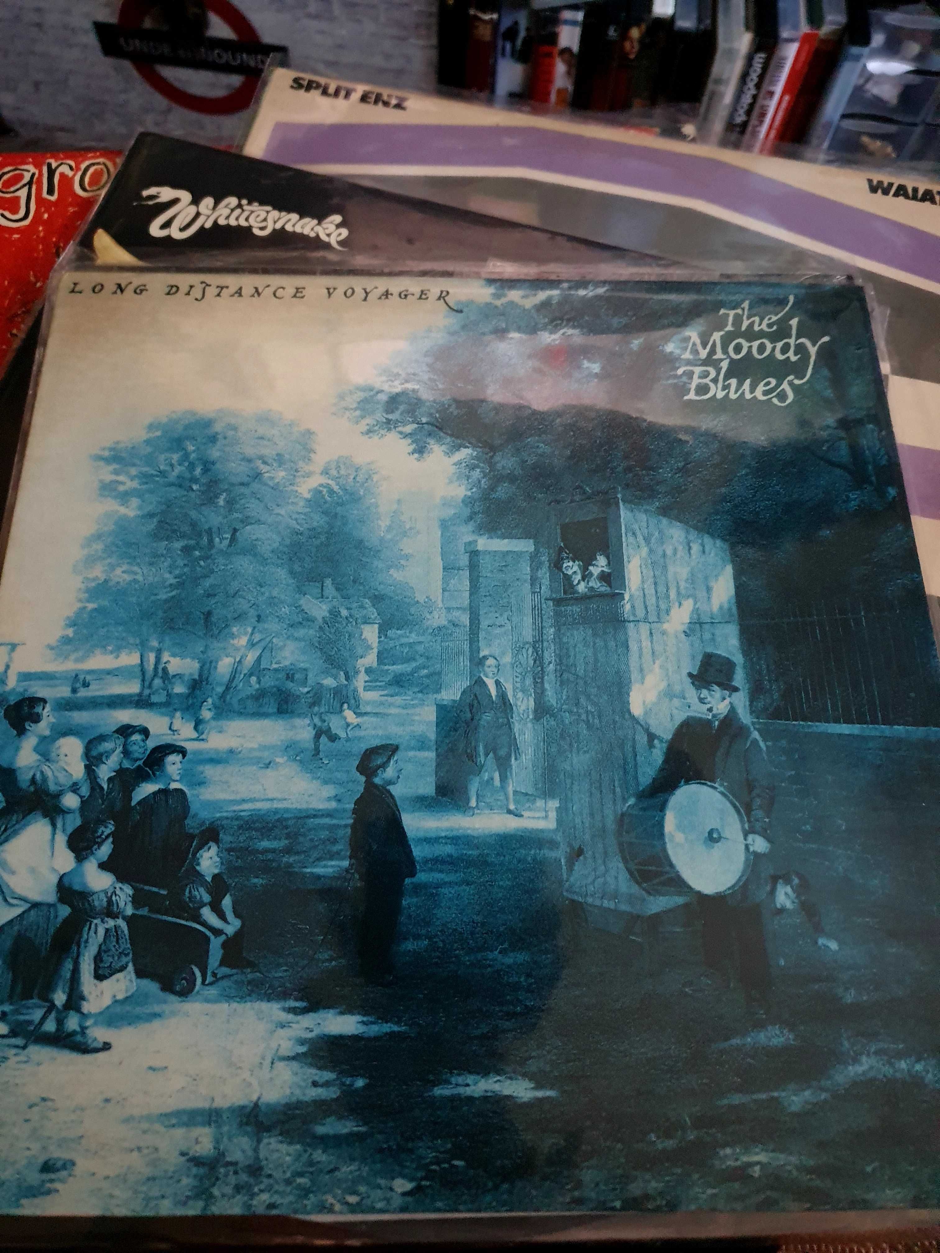 Billy Rankin 
Greg King Band 
Whitesnake 
Split Enz
The Moody Blues