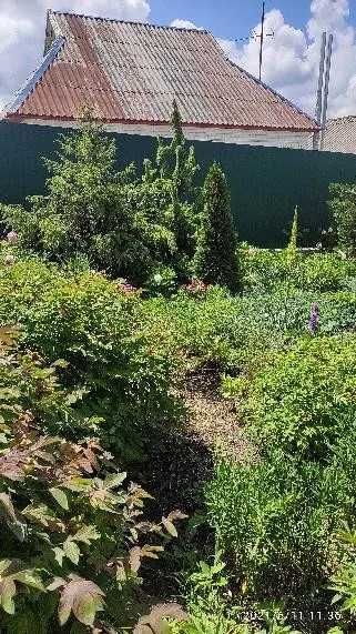 (13) Продам будинок в с. Великий Дальник (3 квартал)