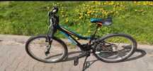 Rower Junior Dema ISEO 24" M
