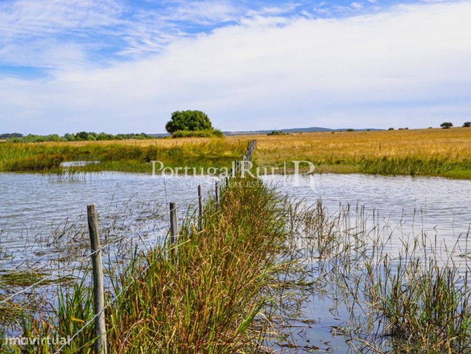 Propriedade de 155 ha com barragem privada