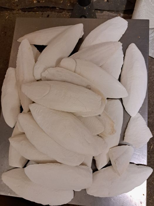 SEPIA NATURALNA 8-12cm, 2zł/szt,30szt za 60zł papuga,ślimak,żółw