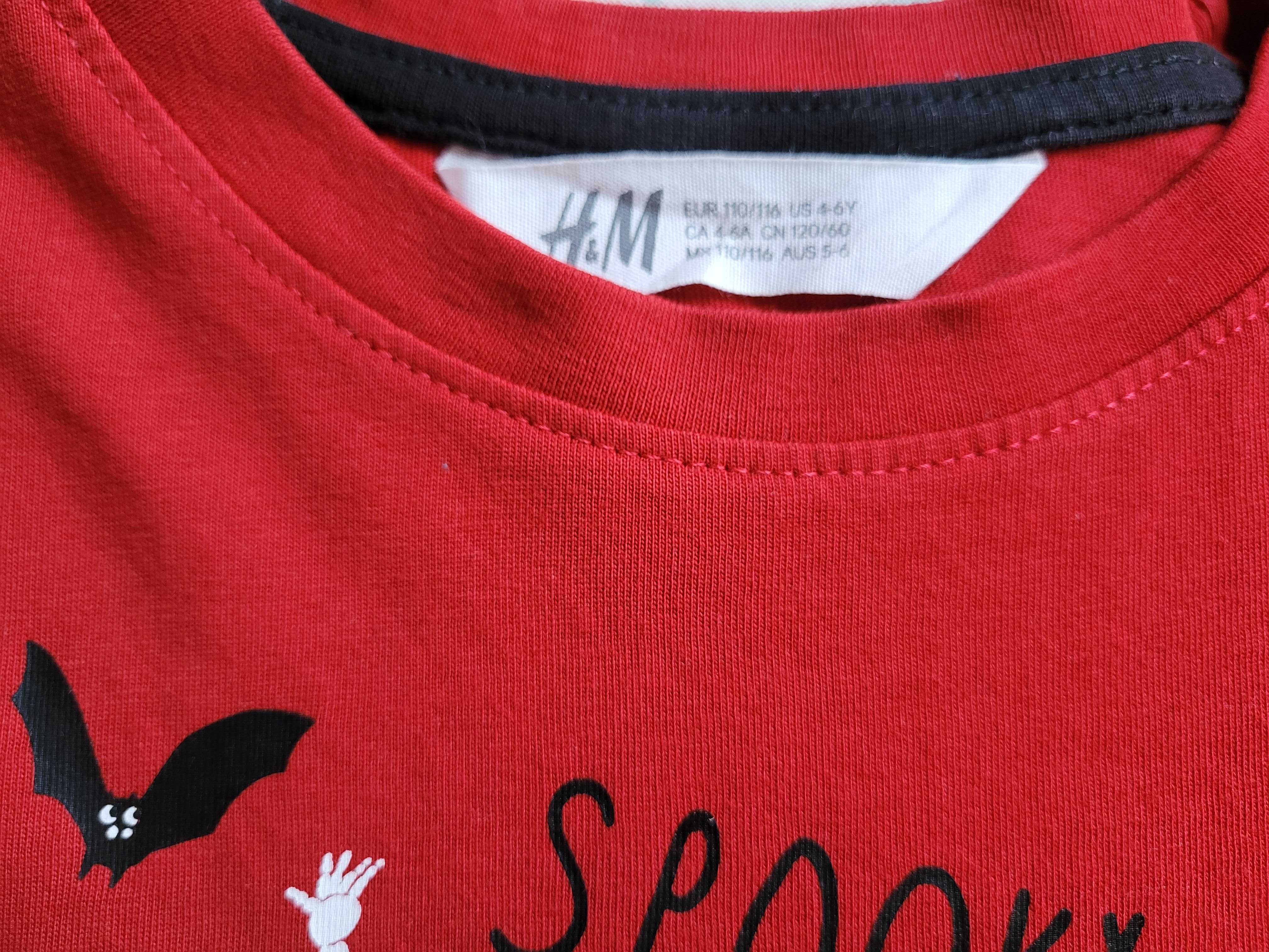 Кофта / реглан для хлопчика на хеллоуін Halloween геловін, 110-116 см