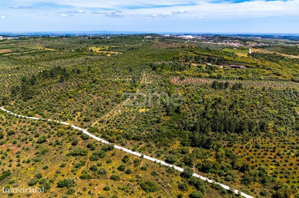 Terreno 5,5 ha com projeto turístico aprovado – Borba, Alentejo