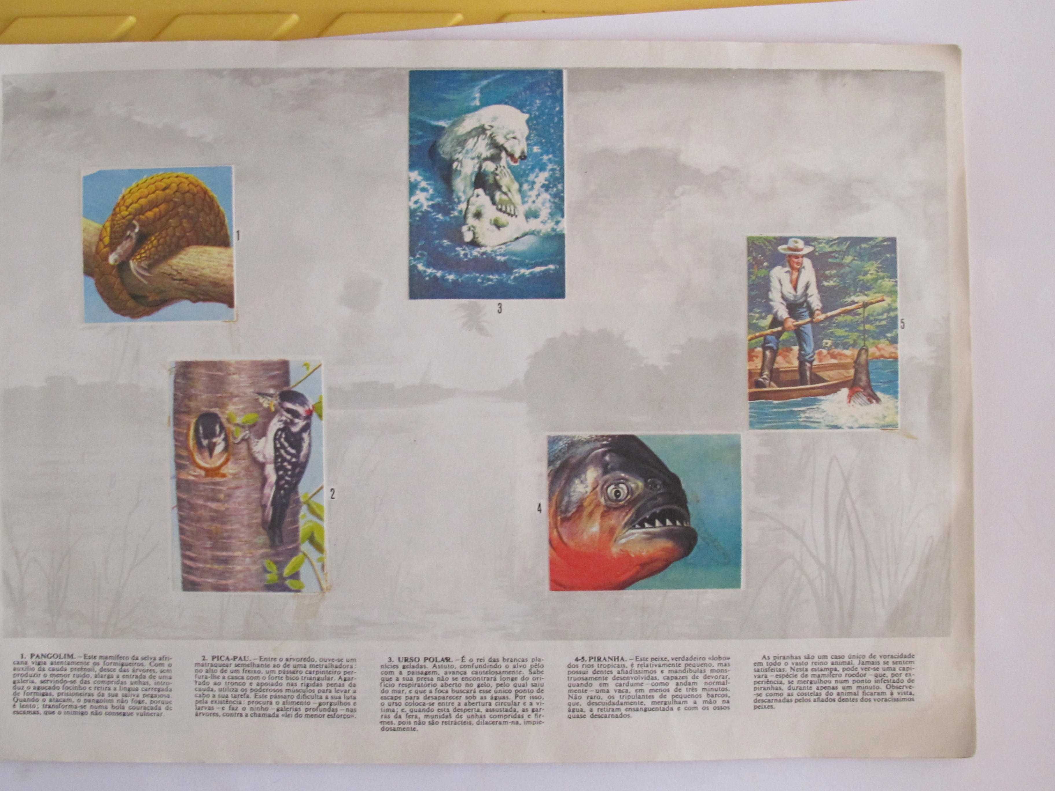 caderneta completa - Segredos do Mundo Animal, APR, 1970