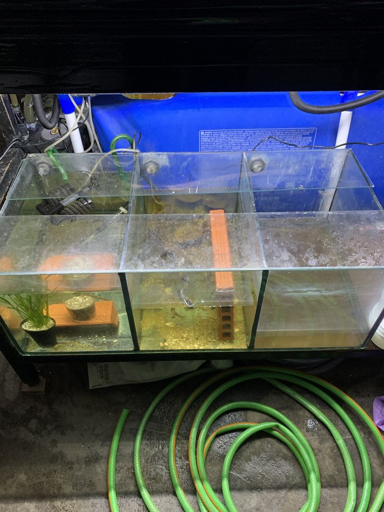 Aquario  3 em 1::::::::: 90 centimetros