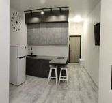 Аренда 1к квартиры Фонтан (Аркадия)