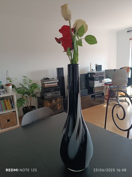 Jarra Modernista- Design exclusivo -vidro soprado