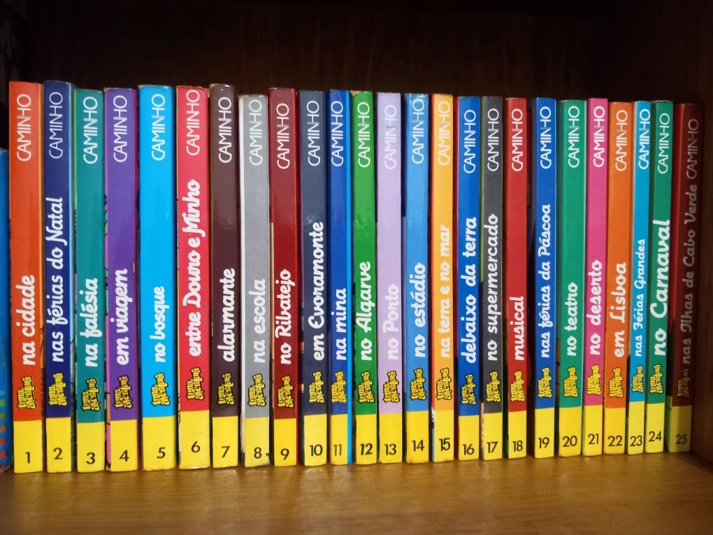 Coleções Livros Juvenis