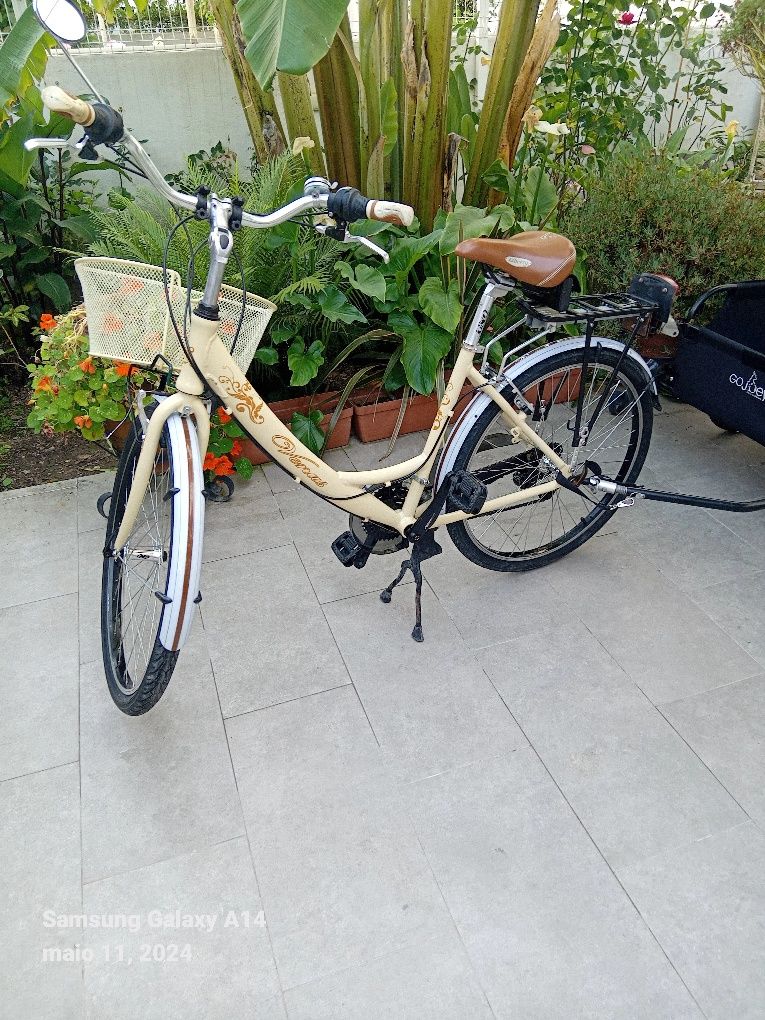 Bicicleta com atrelado como novo