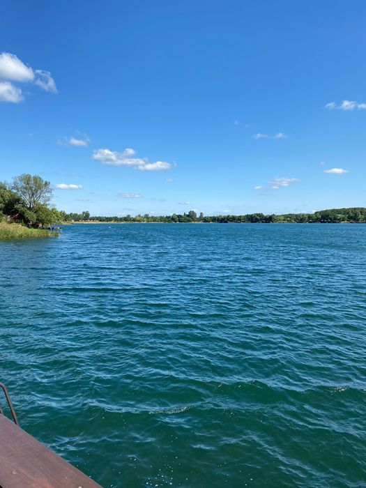 Берегове. с. Дийда  Котедж  VillaDAn, біля термальних басейнів