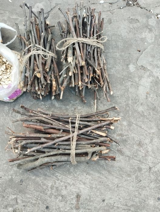 Продам гілочки фруктових дерев для домашніх гризунів, 
гілочки середні