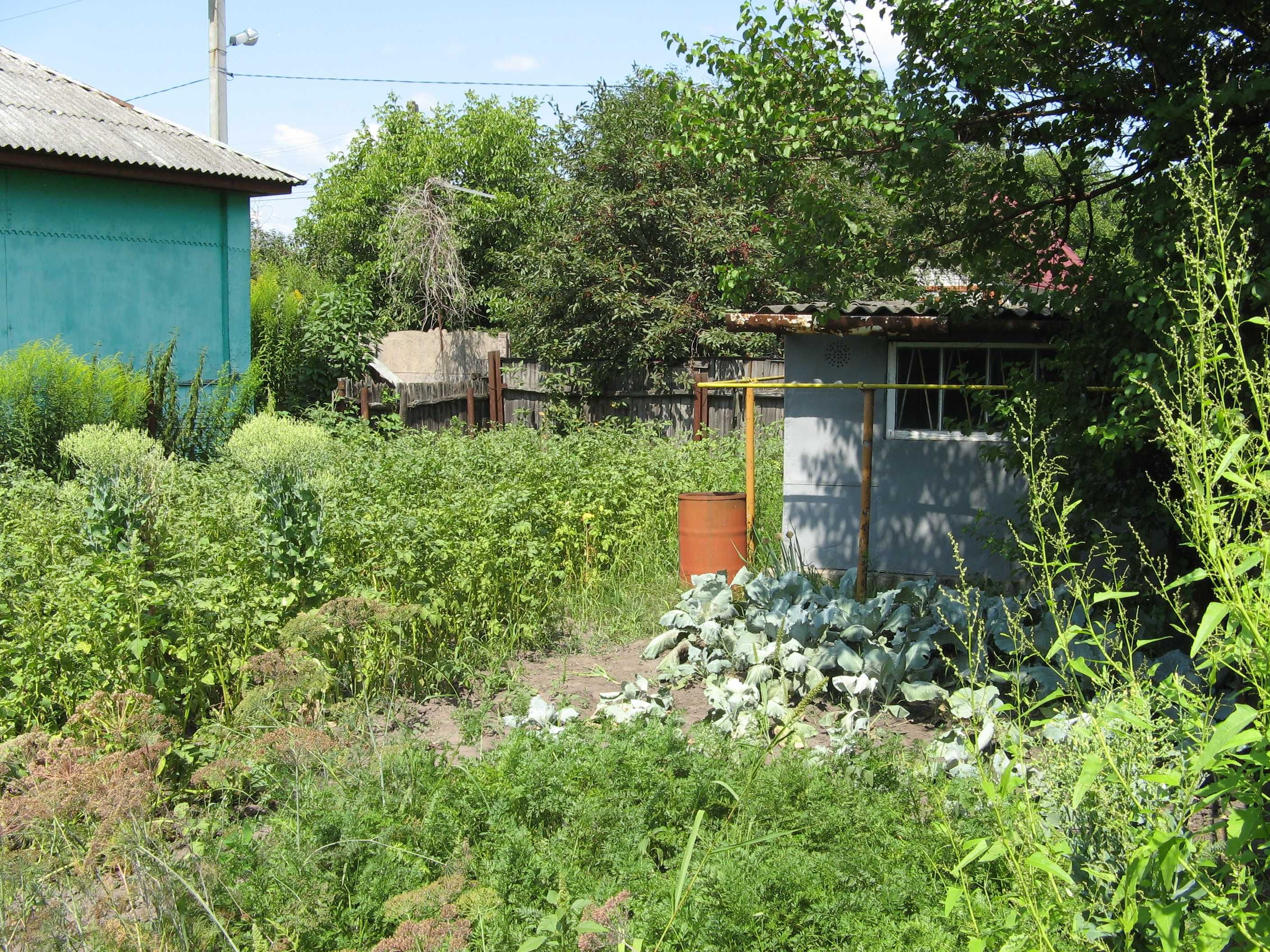 Продам  дом  с хозяйственными  постройками.