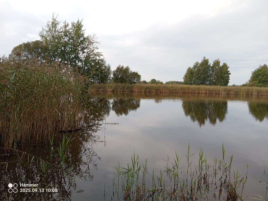 Działka 4h ze stawem