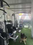 Personal Trainer (PT)
