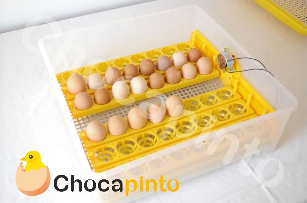 ..:Promoção:.. Chocadeira/Incubadora 48 Ovos