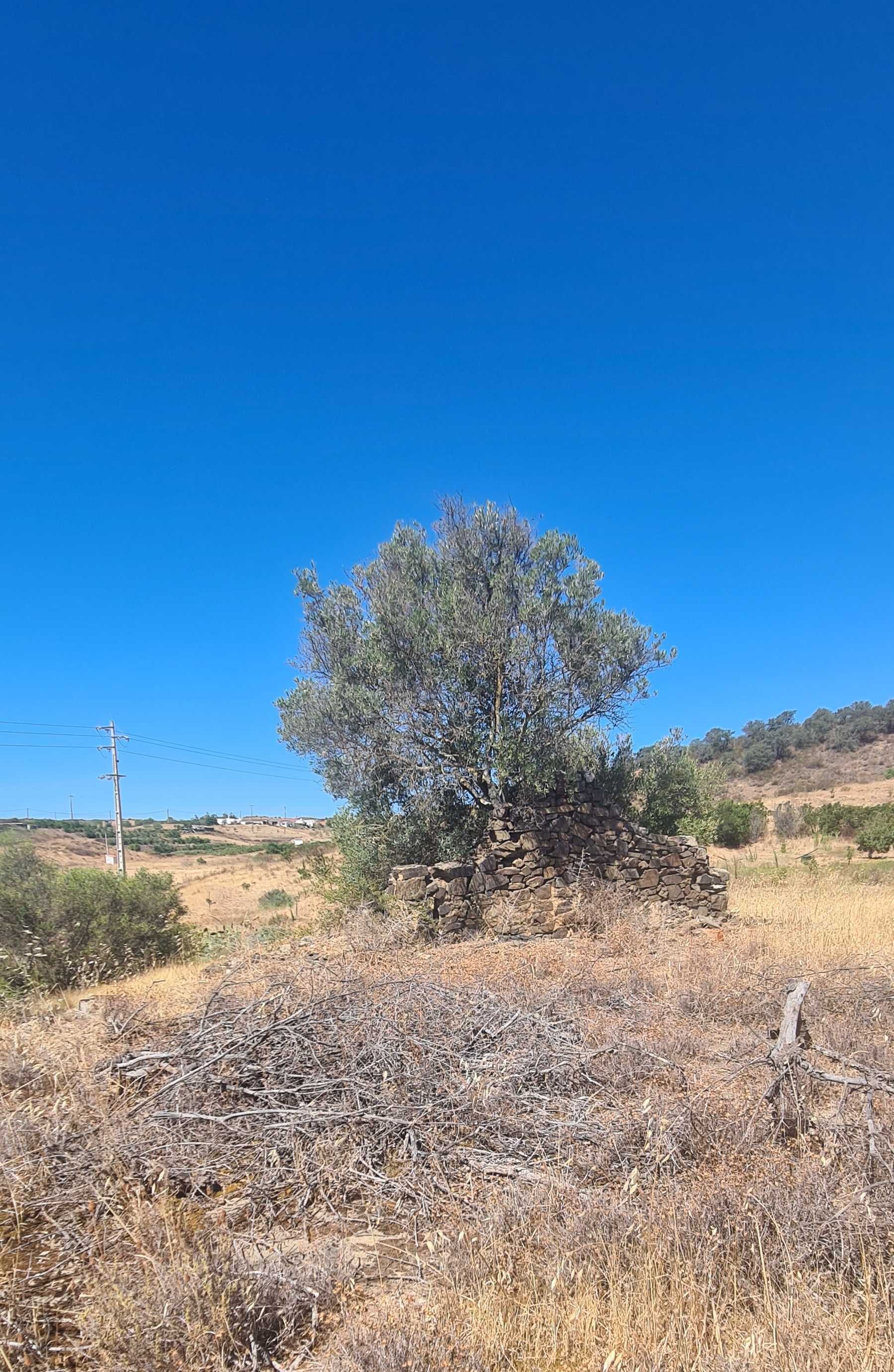 Terreno com ruína na Junqueira, concelho de Castro Marim