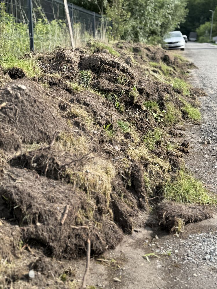 Humus Oddam za darmo Ziemie po wycięciu trawy z ogrodu 340m2