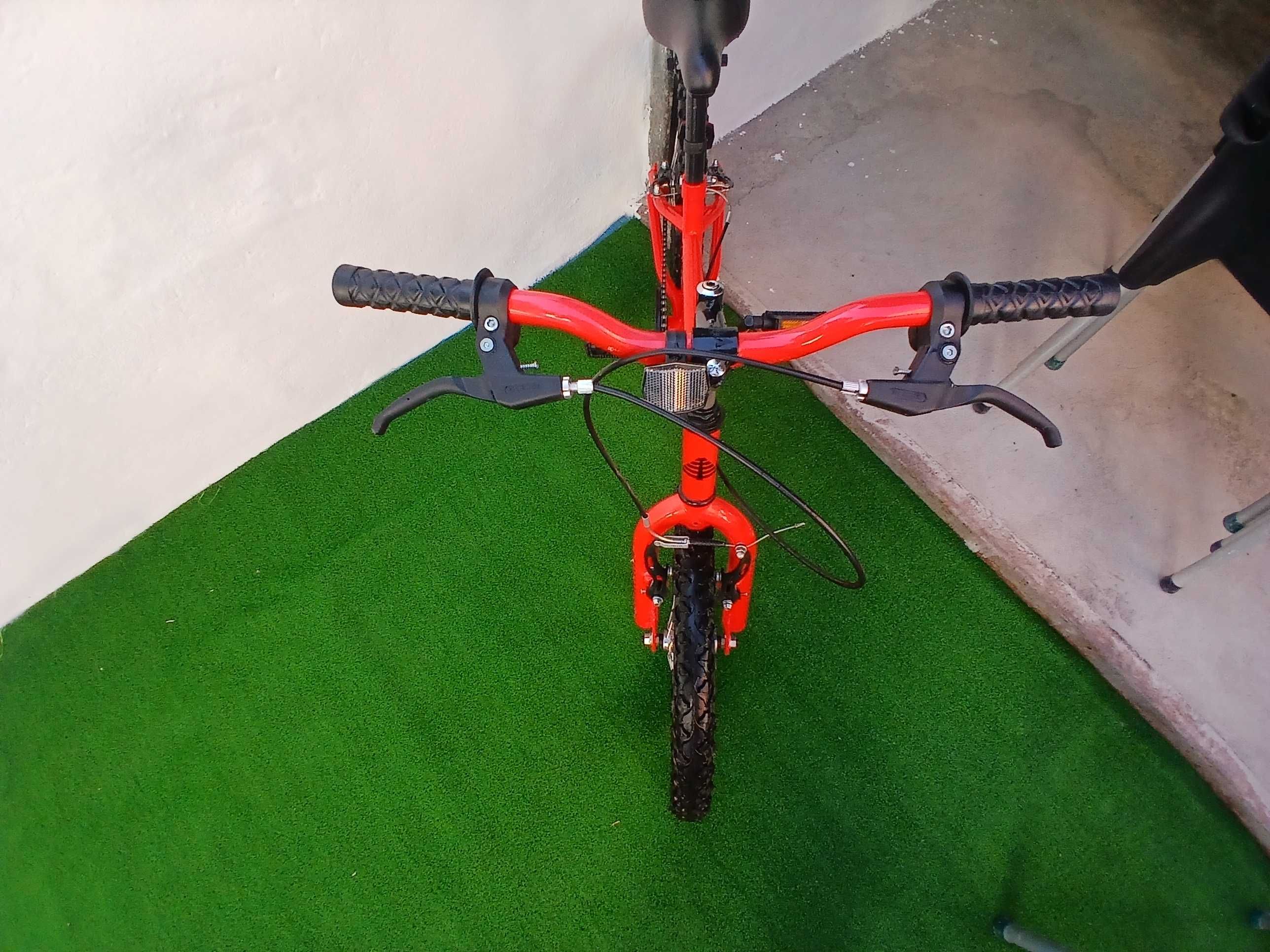 Bicicleta berg iguana roda 18