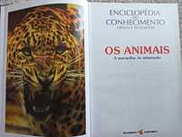 Os Animais 	Ardley, Neil; 	Matthews, Como novo!