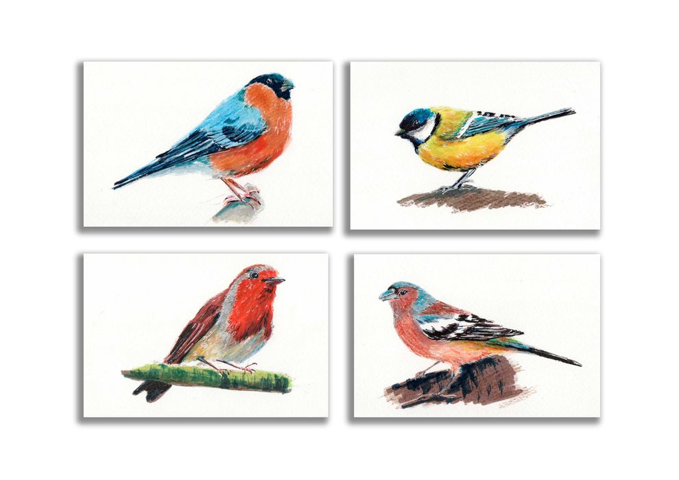 Kartki ręcznie malowane  "Ptaki polskie" Sikorka zięba gil rudzik