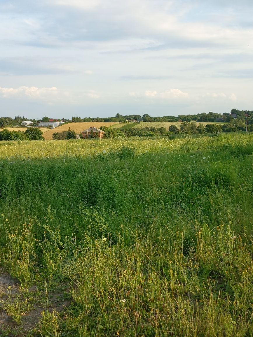 Działka budowlana żerkowice michałowice