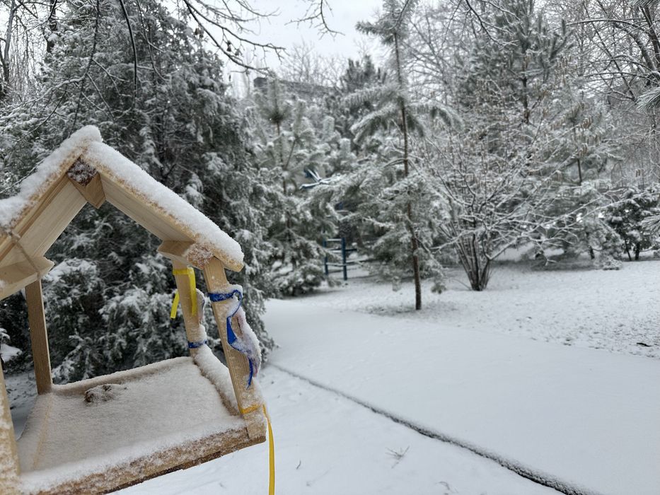 Територія для дитячого табору або літнього кінотеатру - Хортицький р-н