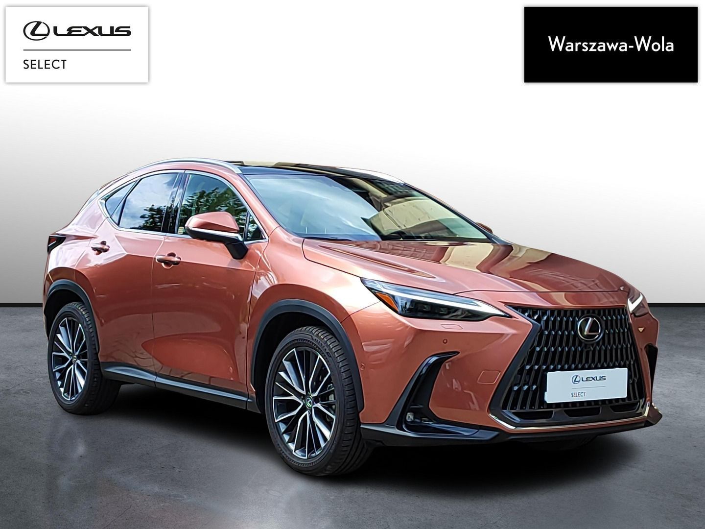 Lexus NX Lexus NX350H OMOTENASHI+M.Levinson+Panorama,Salon PL,Serwis ASO