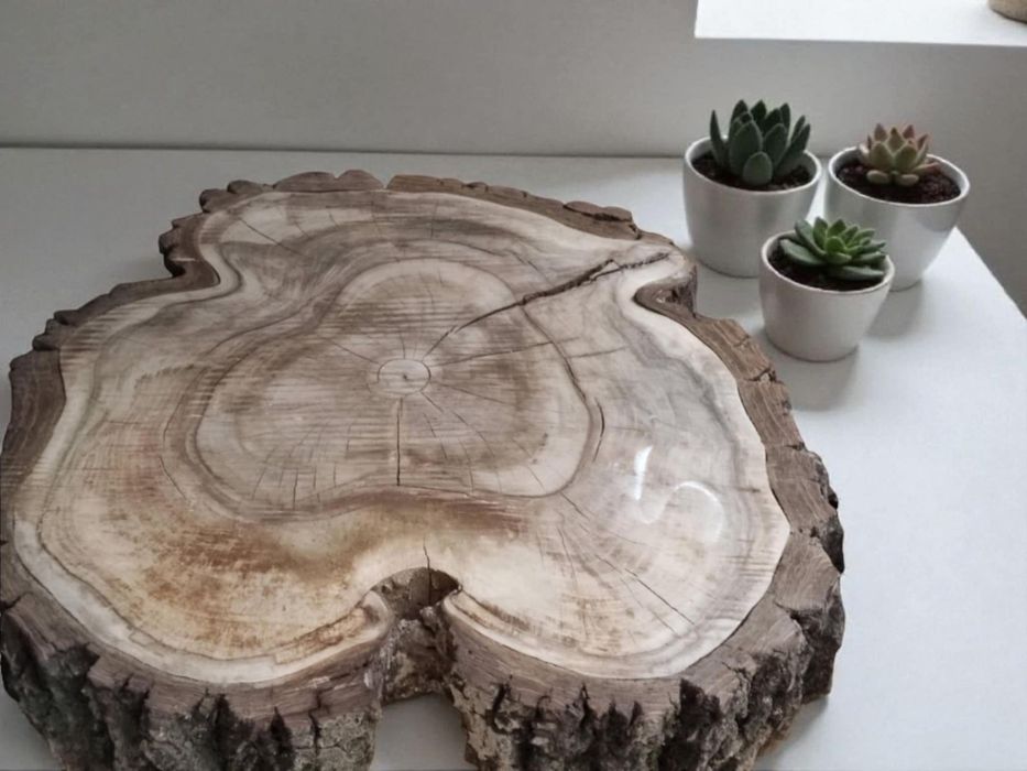 Plastry drewna plasterki orzech i inne gatunki