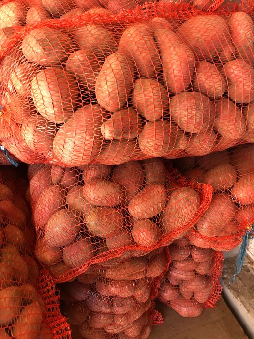 Картопля вирощена без хімічних добрів.