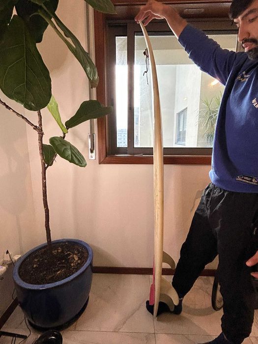 Prancha Surf 5’8 MR Model – Rabeta Swallow – Tri-fin