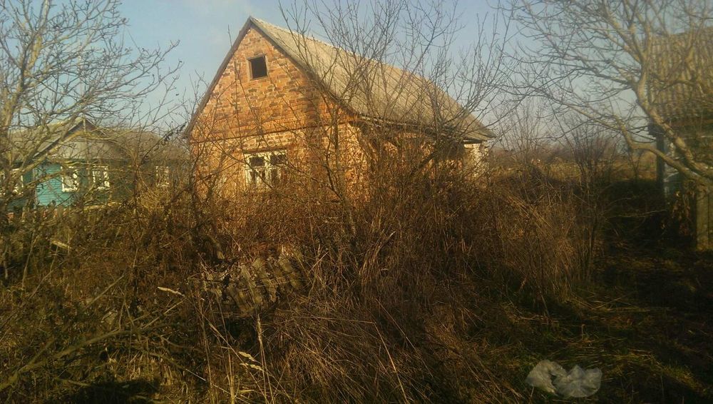 Продається приватний будинок в с.Карвинівка(Романівський район)