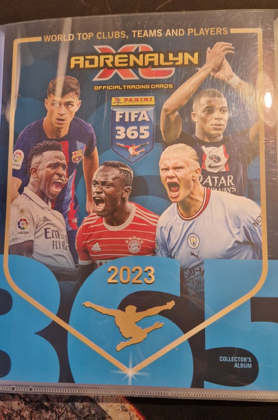 Album panini fifa 365