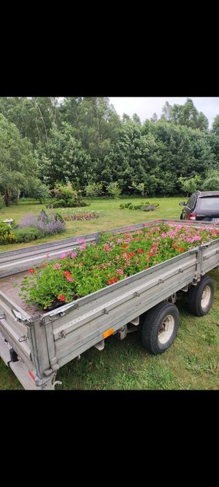 Przyczepa samochodowa