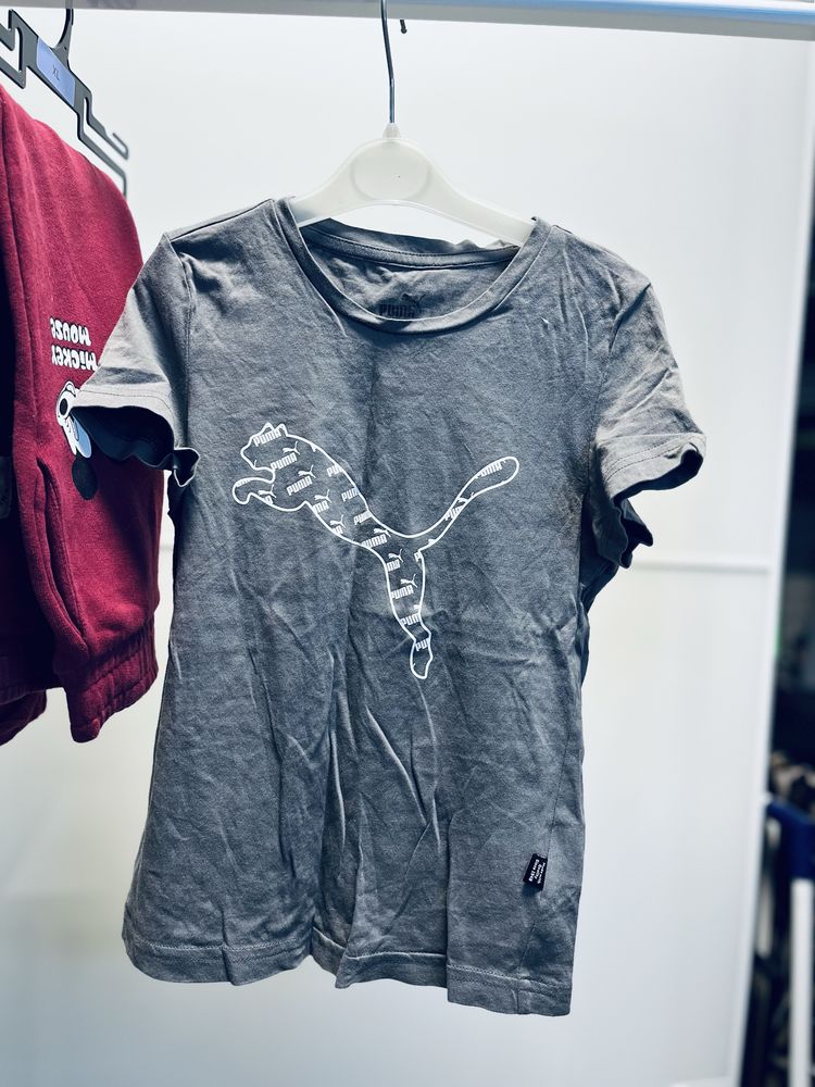 Zestaw 128cm dresy tshirt spodnie Puma Zara myszka miki