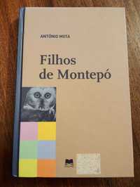Livro: Filhos de Montepó, António Mota