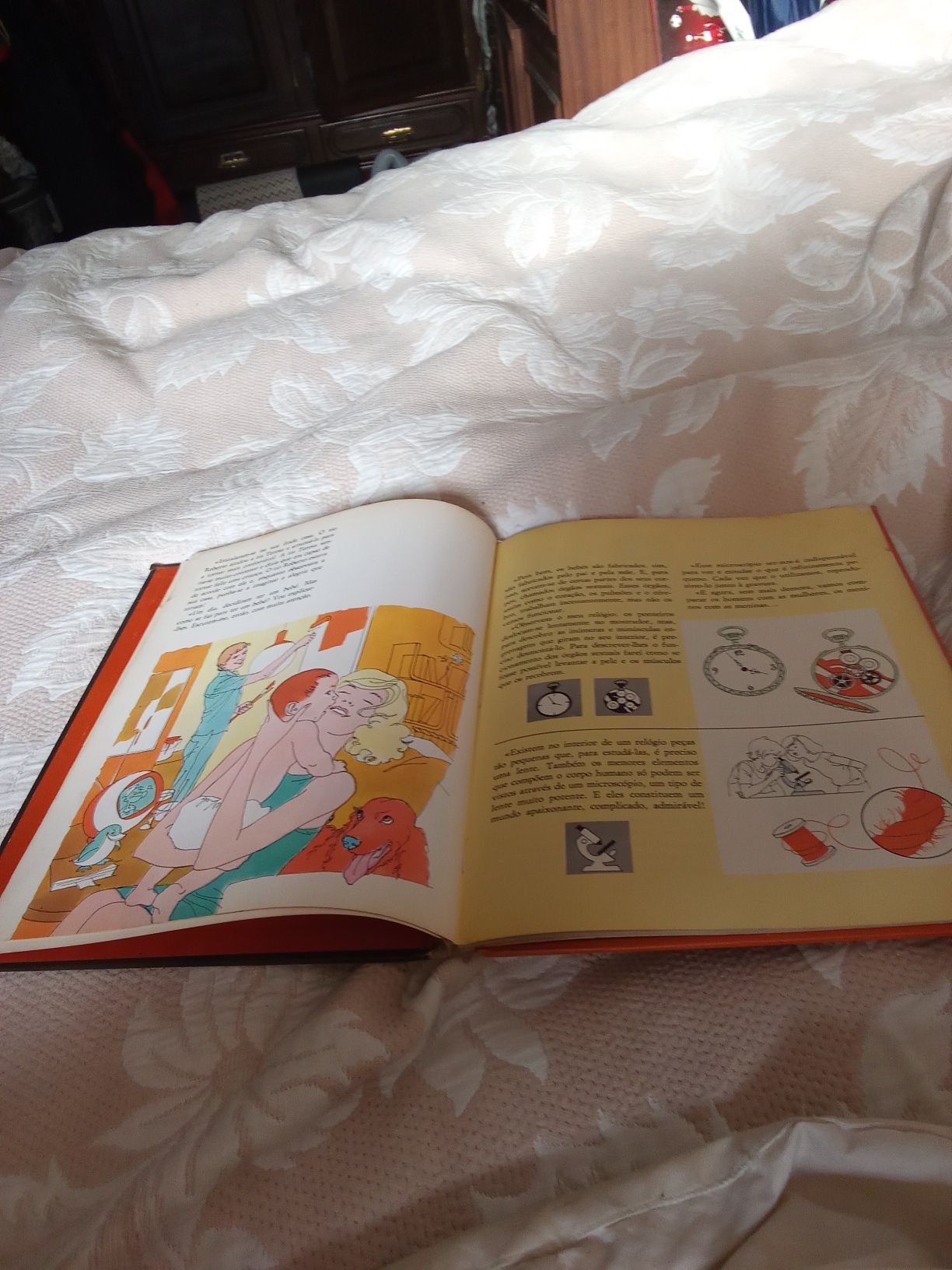 Vendo livro vida sexual enciclopedia dos 7 aos 9