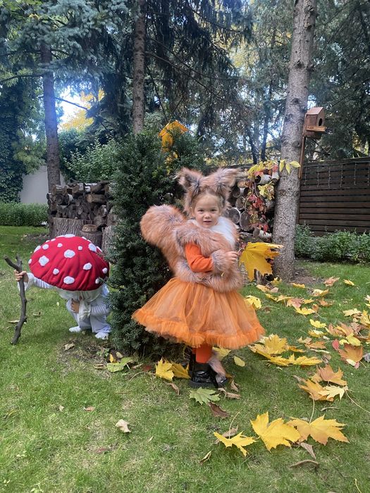 Костюми мухомор, білочка, заяць, хеллоуин на хлопчика прокат