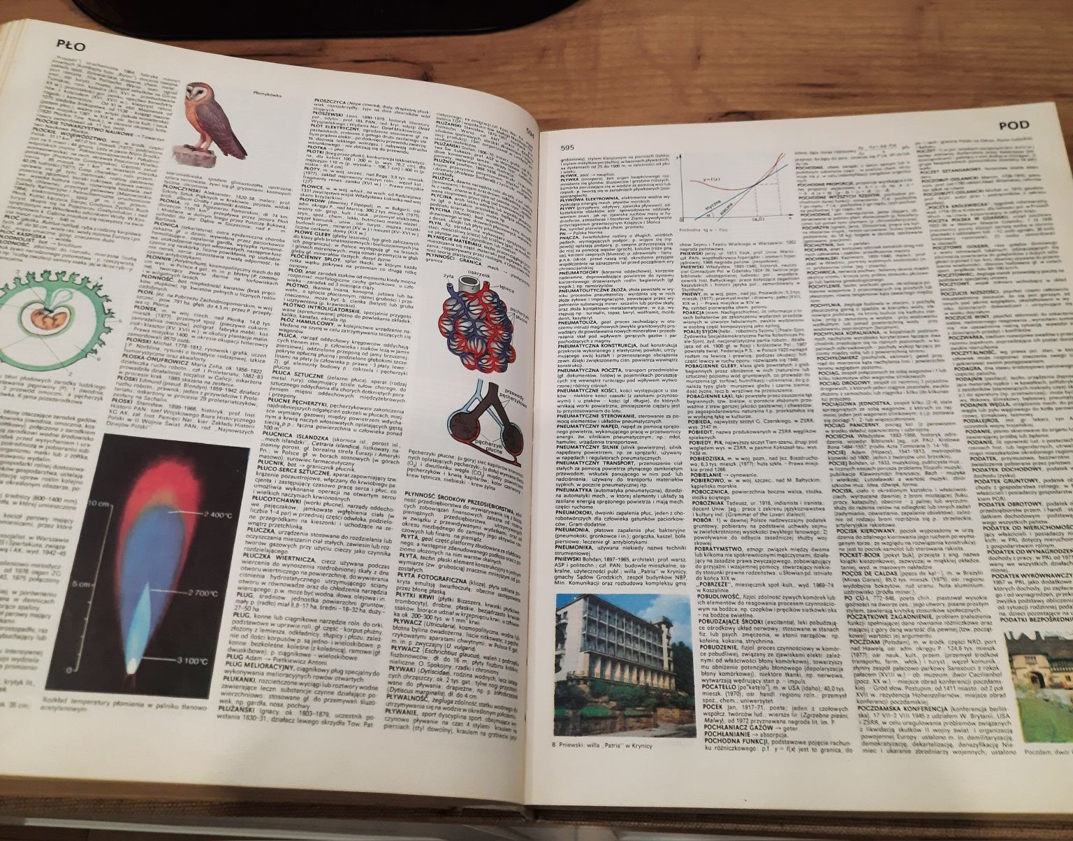 Encyklopedia Popularna PWN z 1980 r.