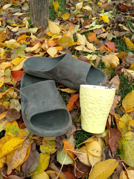 Віддам капці в добрі руки