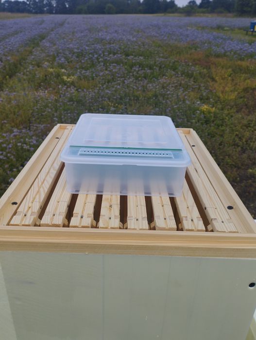 Ule odkładowe wielkopolskie 8 ramkowe