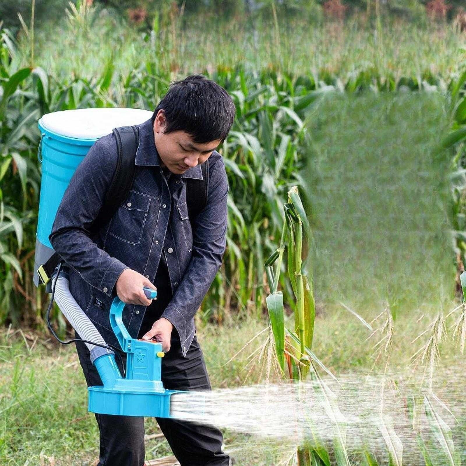 Semeadura  agrícola