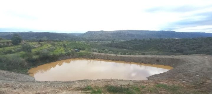 Vinha (Vinho do Porto) e Olival