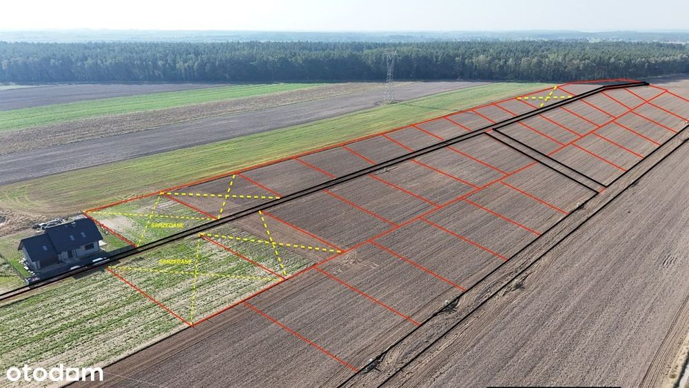 Piękne działki pod lasem w Żarowie!