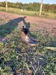 Buty jeździeckie, sztyblety rozmiar 37