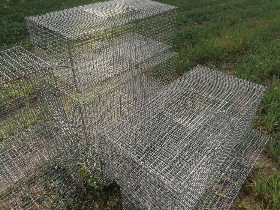 Klatki hodowlane dla drobiu, królików, gołębi, przepiórek.