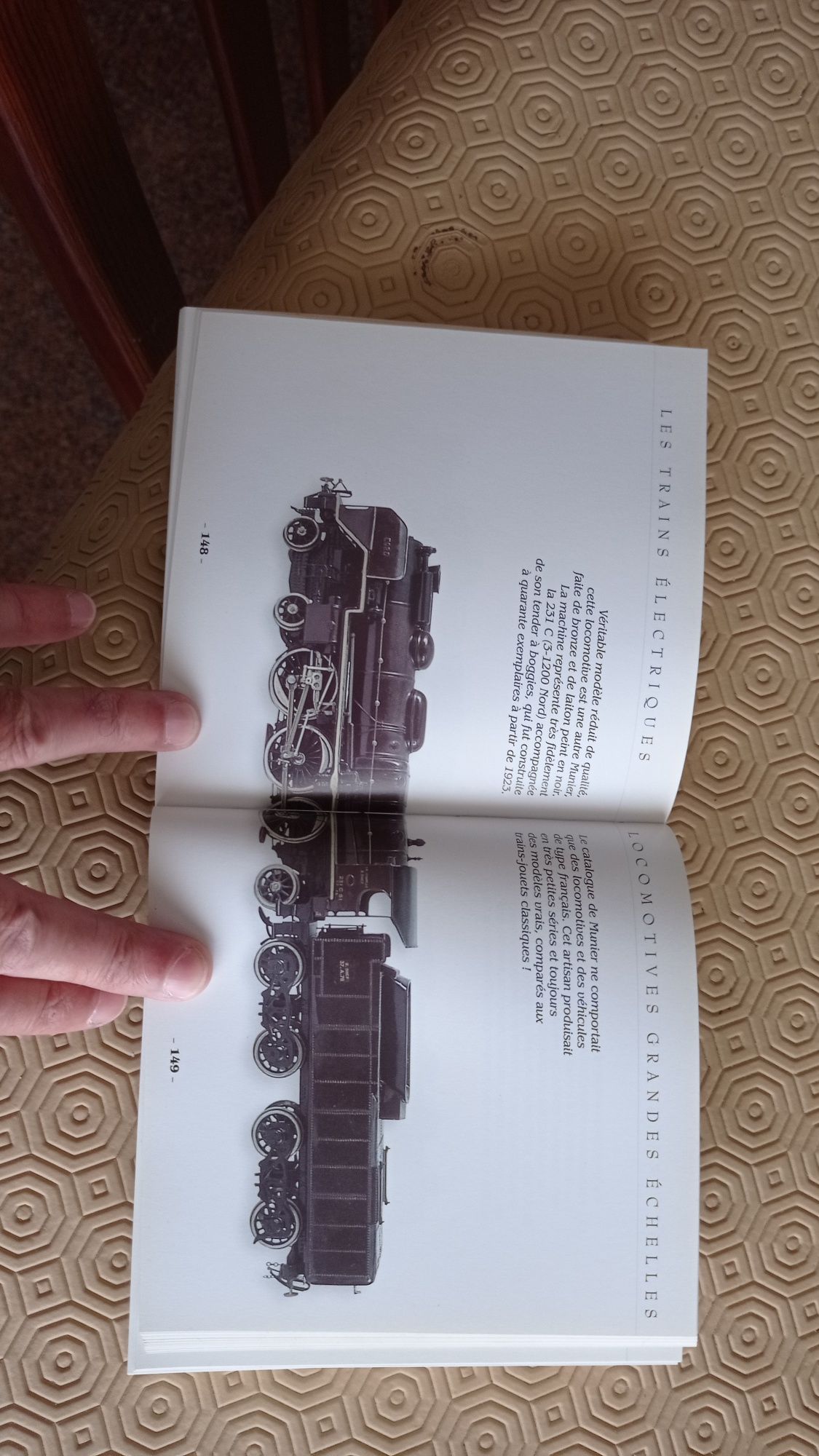 Livro sobre comboios