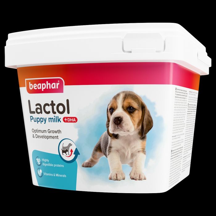 Leite em pó cães