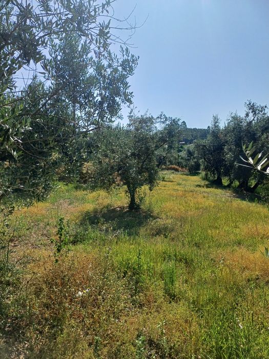 Casa Rural  - Cimadas