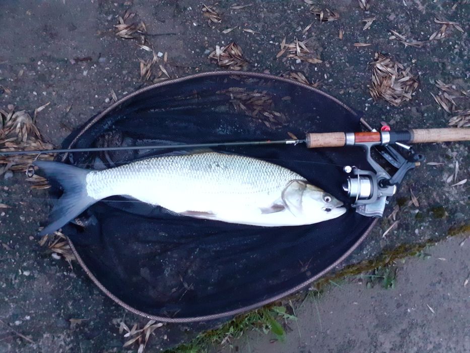 Mikro, micro jigi   zestaw 10 szt